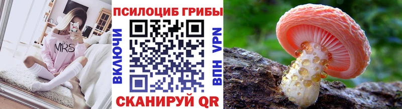 Галлюциногенные грибы Psilocybe  наркотики  Тырныауз 