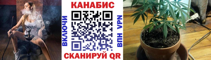 Конопля план дарк нет телеграм Тырныауз